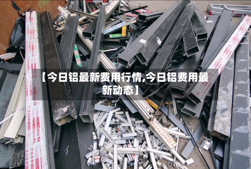 【今日铝最新费用行情,今日铝费用最新动态】-第2张图片