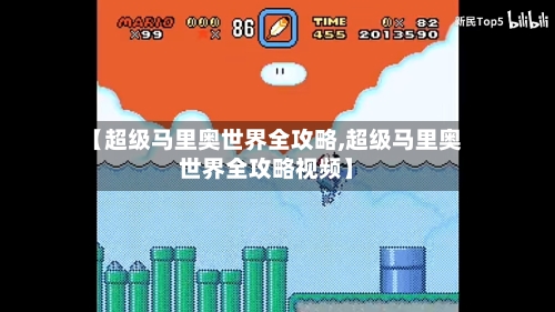 【超级马里奥世界全攻略,超级马里奥世界全攻略视频】