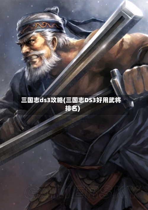 三国志ds3攻略(三国志DS3好用武将排名)-第2张图片