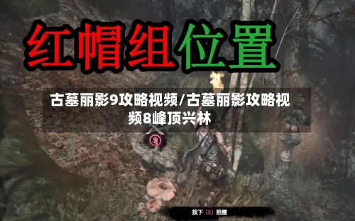 古墓丽影9攻略视频/古墓丽影攻略视频8峰顶兴林