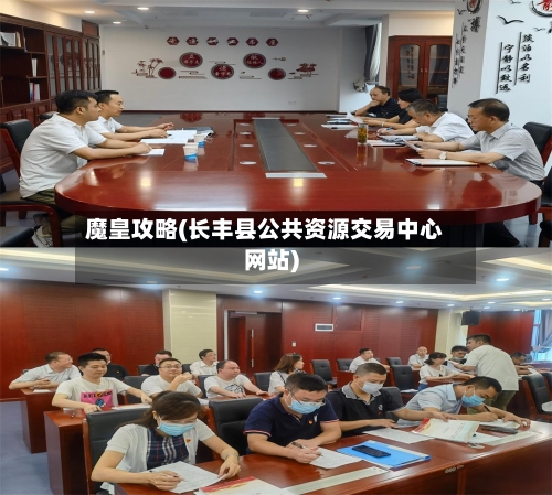 魔皇攻略(长丰县公共资源交易中心网站)