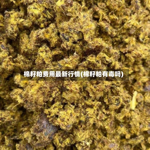 棉籽粕费用最新行情(棉籽粕有毒吗)