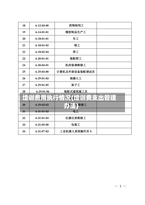 培训费用执行情况(培训费支出管理办法)-第2张图片