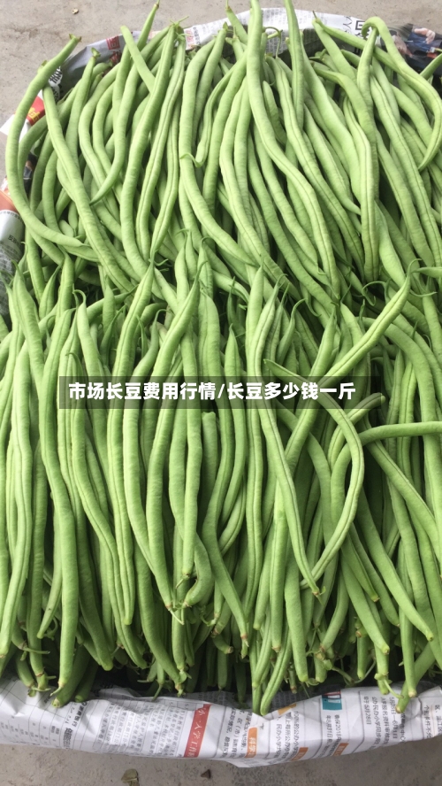市场长豆费用行情/长豆多少钱一斤-第2张图片