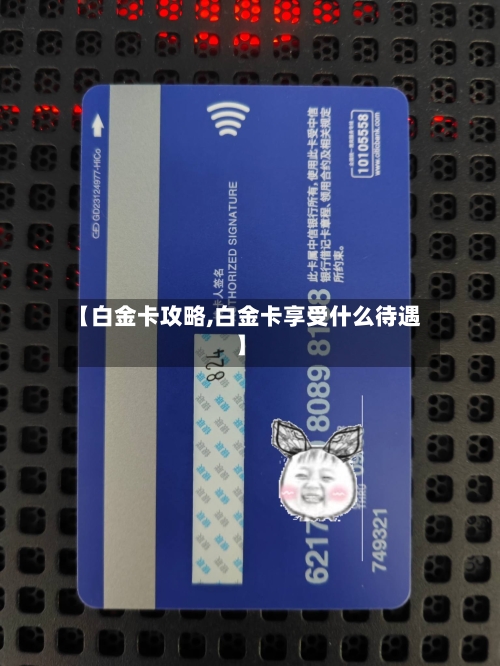 【白金卡攻略,白金卡享受什么待遇】-第3张图片