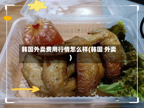 韩国外卖费用行情怎么样(韩国 外卖)