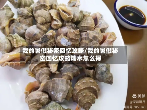 我的暑假秘密回忆攻略/我的暑假秘密回忆攻略糖水怎么得-第2张图片