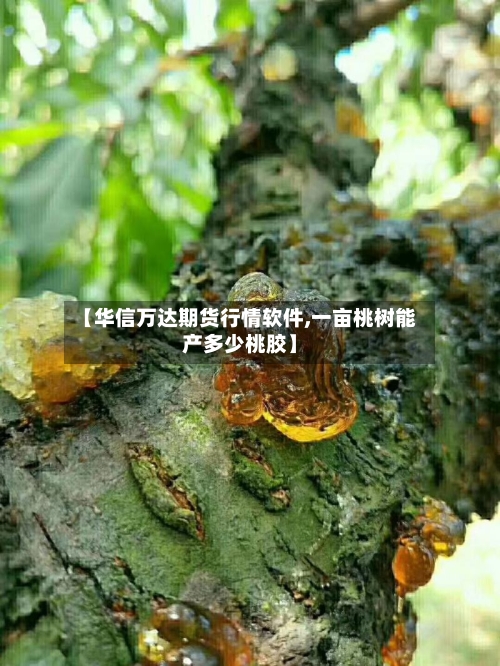 【华信万达期货行情软件,一亩桃树能产多少桃胶】-第2张图片