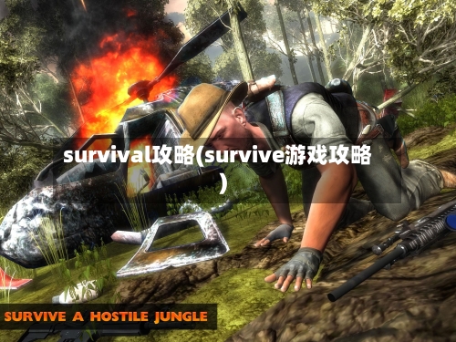 survival攻略(survive游戏攻略)