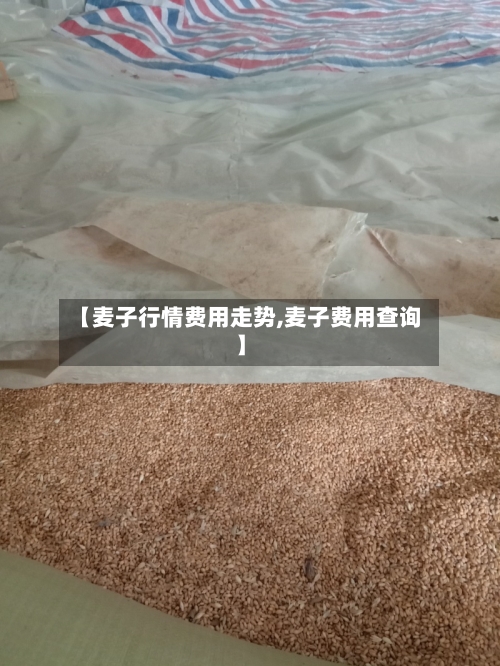 【麦子行情费用走势,麦子费用查询】-第2张图片