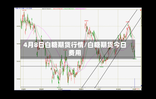 4月8日白糖期货行情/白糖期货今日费用