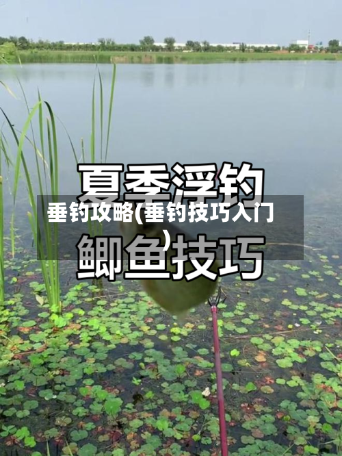 垂钓攻略(垂钓技巧入门)