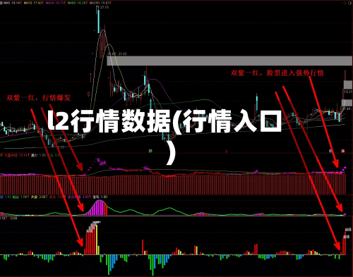 l2行情数据(行情入口)-第2张图片
