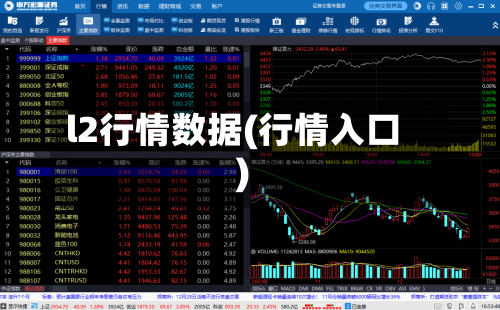 l2行情数据(行情入口)