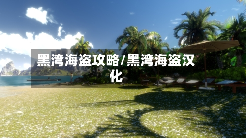 黑湾海盗攻略/黑湾海盗汉化