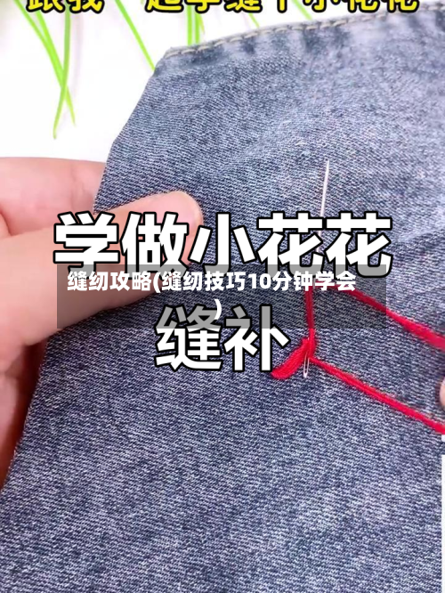 缝纫攻略(缝纫技巧10分钟学会)