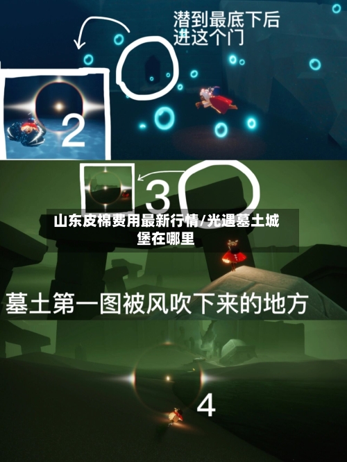山东皮棉费用最新行情/光遇墓土城堡在哪里