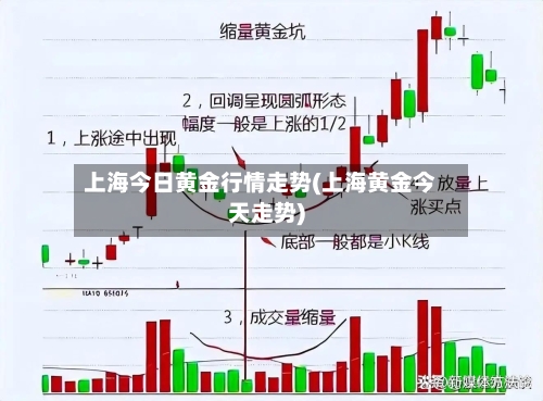 上海今日黄金行情走势(上海黄金今天走势)