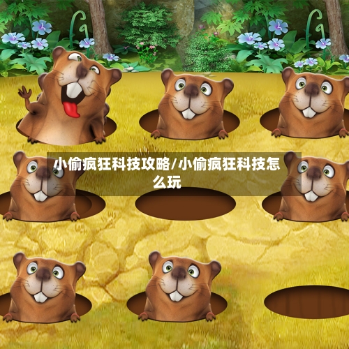 小偷疯狂科技攻略/小偷疯狂科技怎么玩-第2张图片