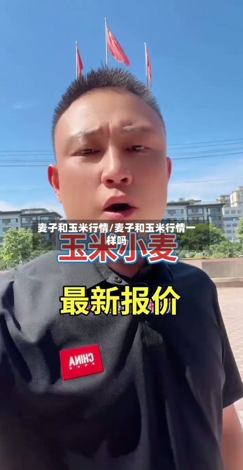 麦子和玉米行情/麦子和玉米行情一样吗-第3张图片