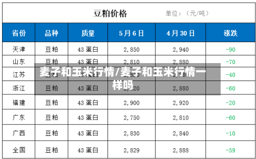 麦子和玉米行情/麦子和玉米行情一样吗