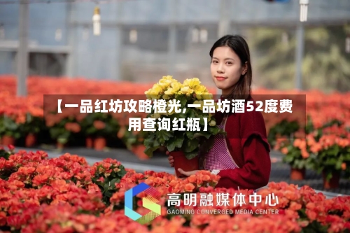 【一品红坊攻略橙光,一品坊酒52度费用查询红瓶】