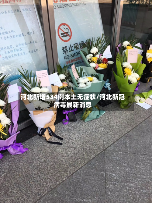 河北新增534例本土无症状/河北新冠病毒最新消息-第3张图片