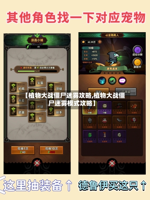 【植物大战僵尸迷雾攻略,植物大战僵尸迷雾模式攻略】