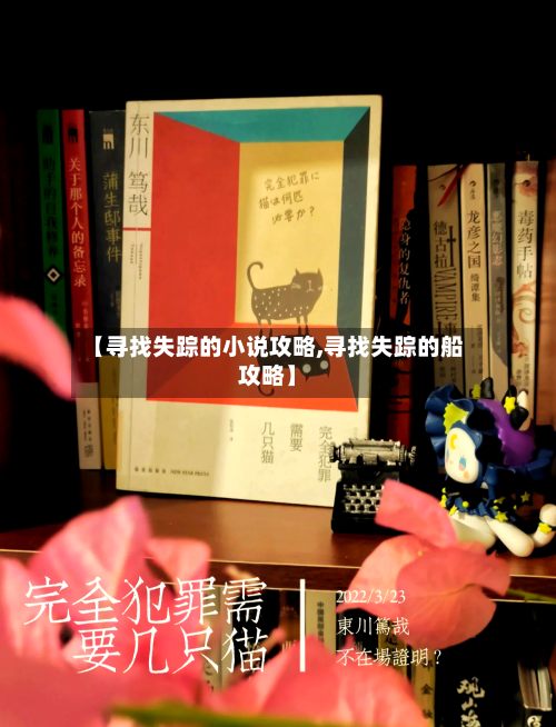 【寻找失踪的小说攻略,寻找失踪的船攻略】