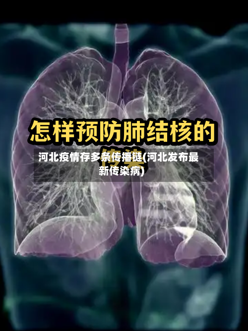 河北疫情存多条传播链(河北发布最新传染病)