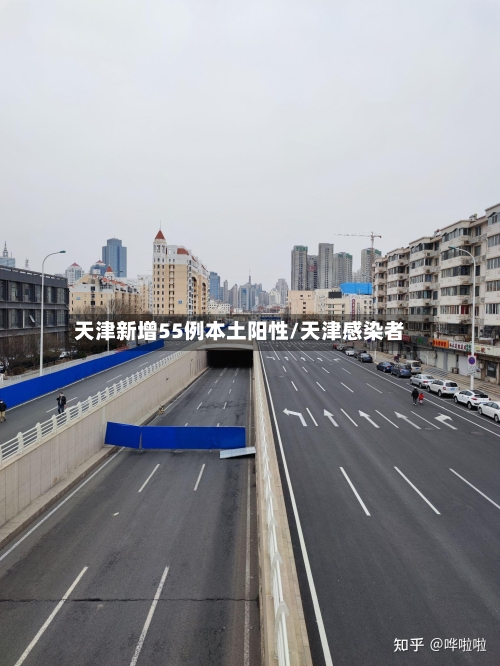 天津新增55例本土阳性/天津感染者-第2张图片
