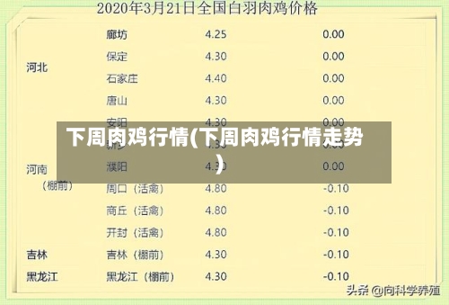 下周肉鸡行情(下周肉鸡行情走势)