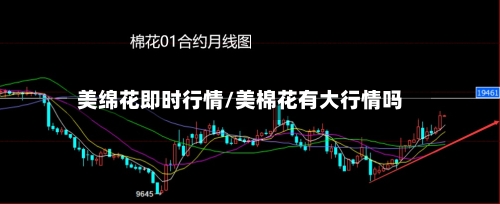 美绵花即时行情/美棉花有大行情吗