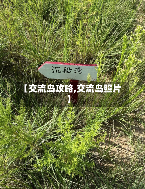【交流岛攻略,交流岛照片】