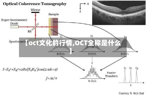 【oct文化的行情,OCT全称是什么】