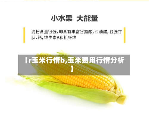 【r玉米行情b,玉米费用行情分析】-第2张图片