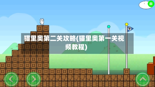 猫里奥第二关攻略(猫里奥第一关视频教程)-第2张图片