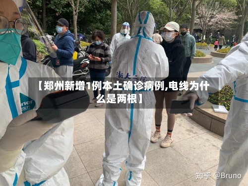 【郑州新增1例本土确诊病例,电线为什么是两根】-第2张图片
