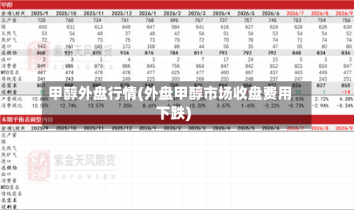 甲醇外盘行情(外盘甲醇市场收盘费用下跌)