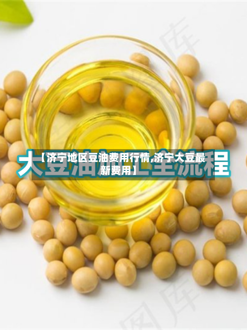 【济宁地区豆油费用行情,济宁大豆最新费用】-第2张图片