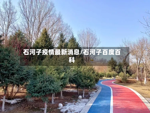 石河子疫情最新消息/石河子百度百科