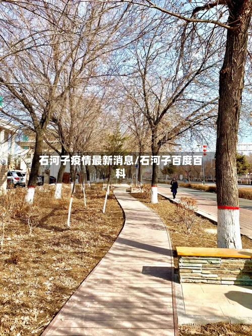 石河子疫情最新消息/石河子百度百科-第2张图片