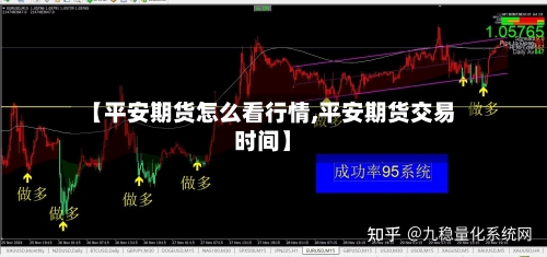 【平安期货怎么看行情,平安期货交易时间】