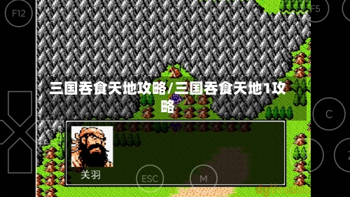 三国吞食天地攻略/三国吞食天地1攻略-第2张图片