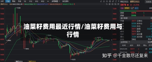 油菜籽费用最近行情/油菜籽费用与行情