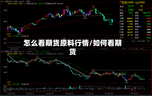 怎么看期货原料行情/如何看期货-第3张图片