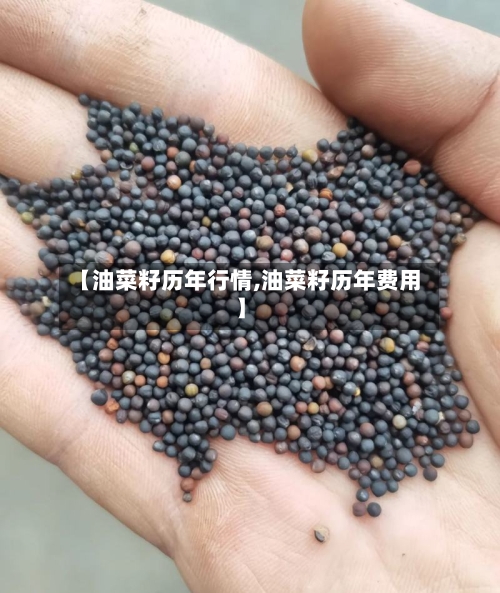 【油菜籽历年行情,油菜籽历年费用】