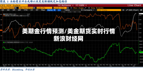 美期金行情预测/美金期货实时行情新浪财经网