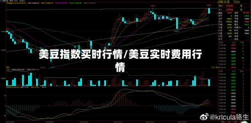 美豆指数买时行情/美豆实时费用行情