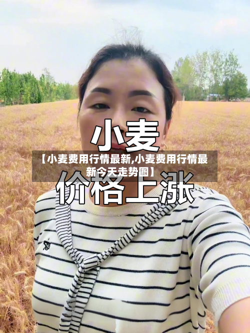 【小麦费用行情最新,小麦费用行情最新今天走势图】